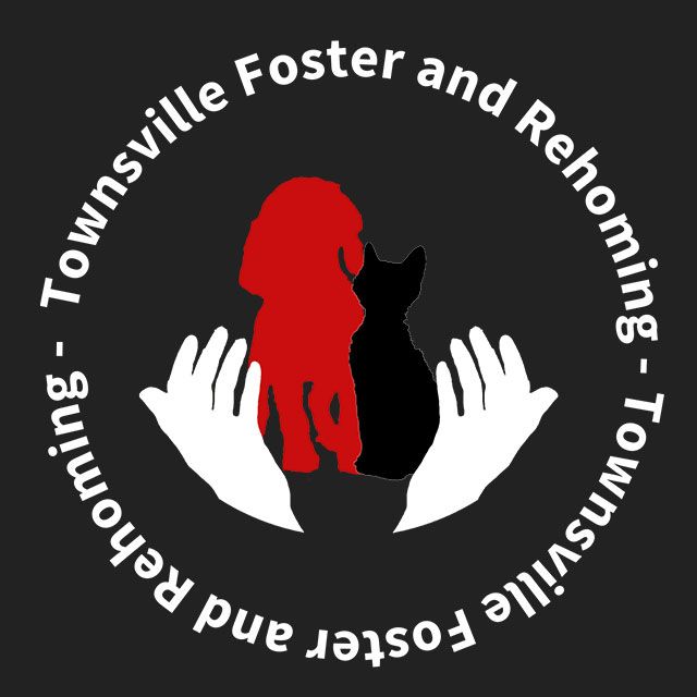 Townsville Foster and Rehoming
